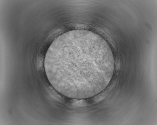 X0000111000185200907311038