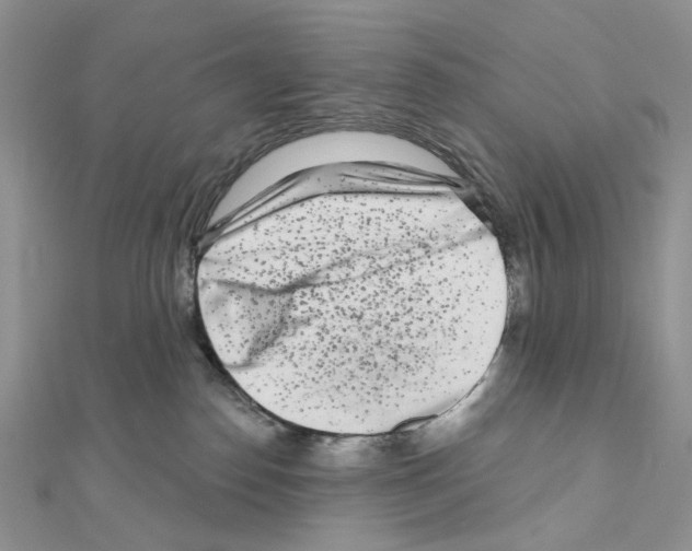 X0000111000186200907311038