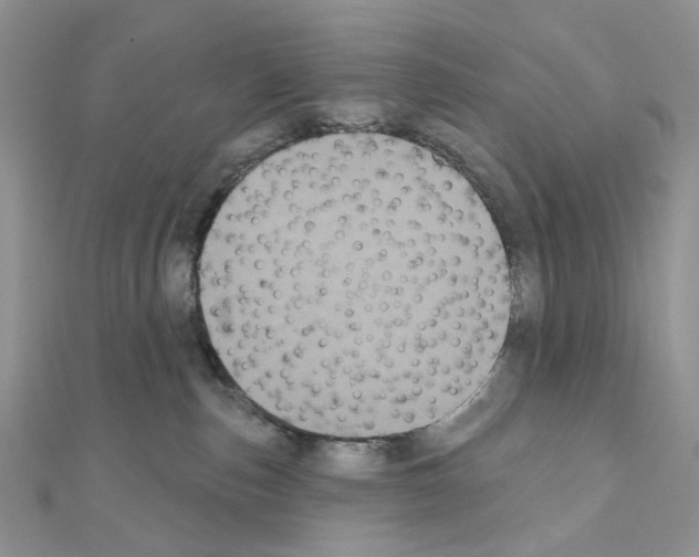 X0000111000187200907311038