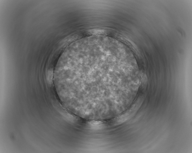 X0000111000189200907311038