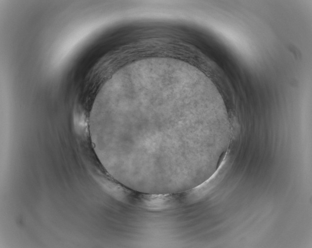 X0000111000191200907311038