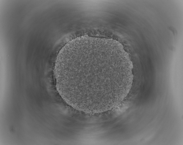 X0000111000192200907311038