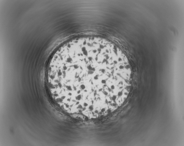 X0000111000194200907311038