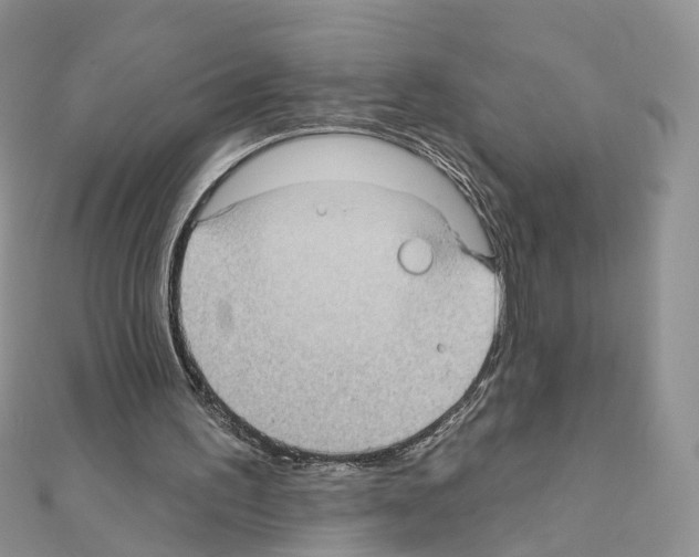 X0000111000195200907311038