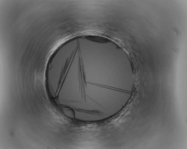 X0000111000196200907311038