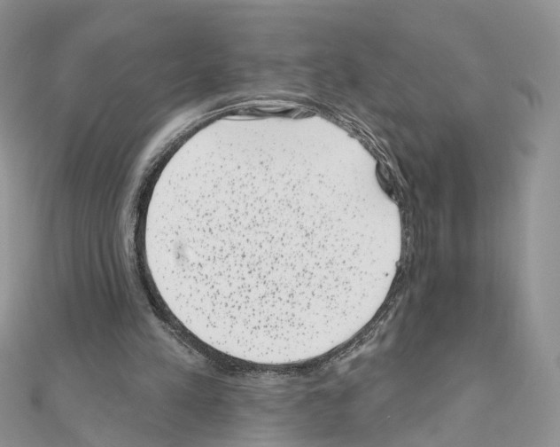 X0000111000197200907311038