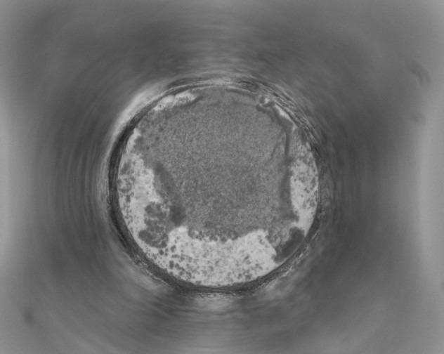 X0000111000198200907311038