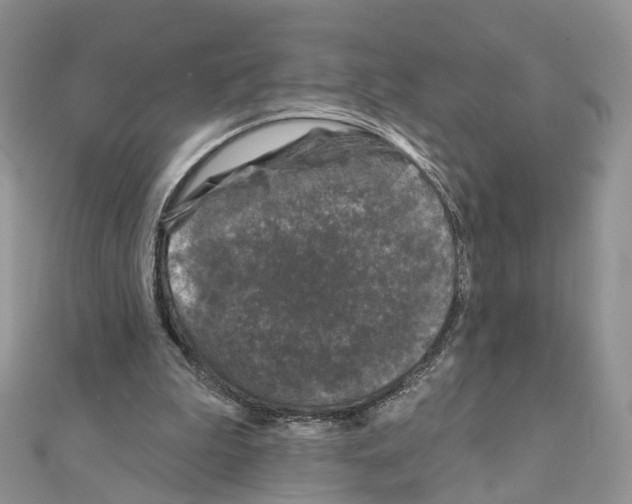 X0000111000199200907311038