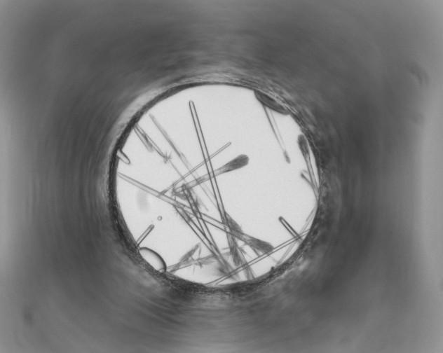 X0000111000200200907311038