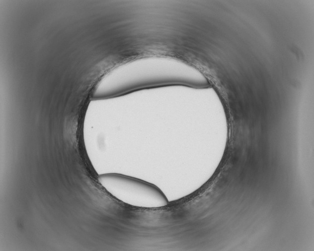 X0000111000201200907311038