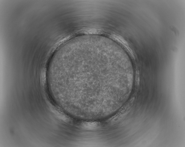 X0000111000202200907311038