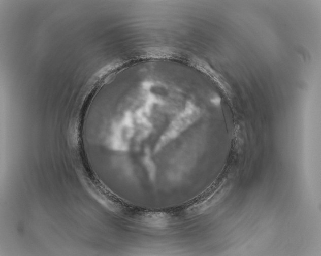 X0000111000203200907311038