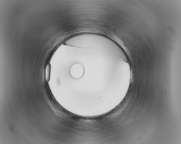 X0000111000205200907311038