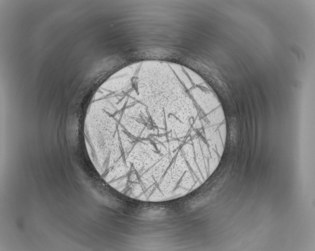 X0000111000206200907311038