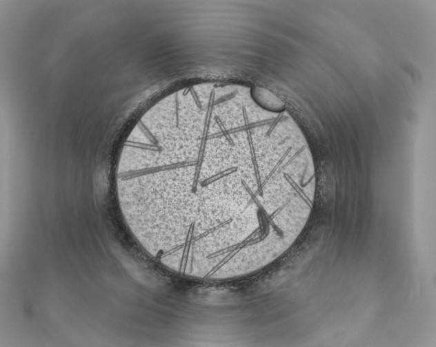 X0000111000208200907311038