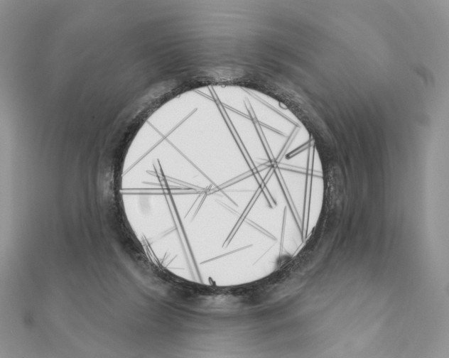 X0000111000212200907311038