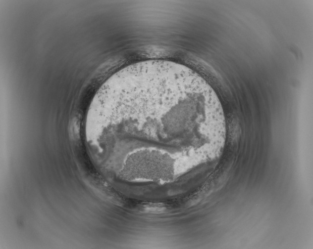 X0000111000214200907311038