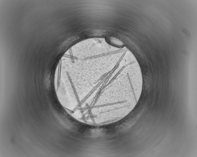 X0000111000216200907311038