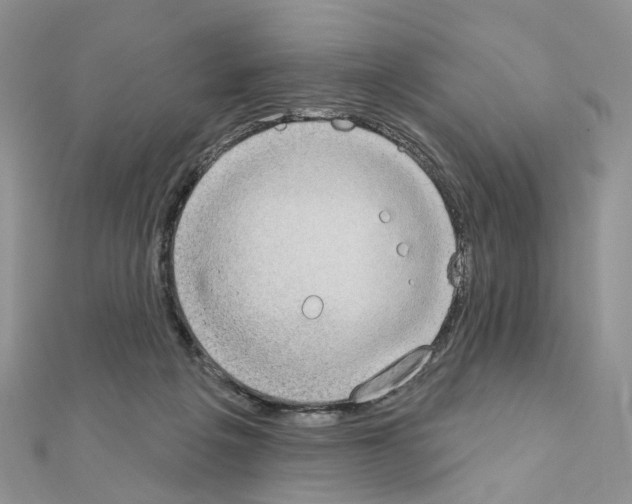 X0000111000217200907311038