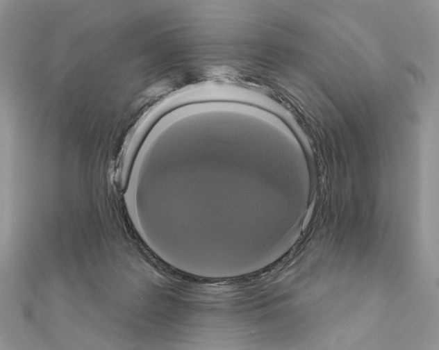 X0000111000219200907311038