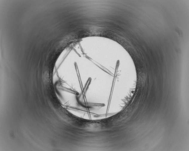 X0000111000220200907311038