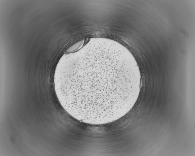 X0000111000221200907311037