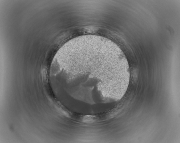 X0000111000222200907311037