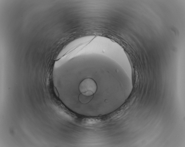 X0000111000223200907311037