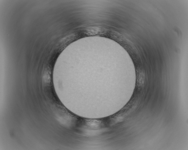 X0000111000226200907311037