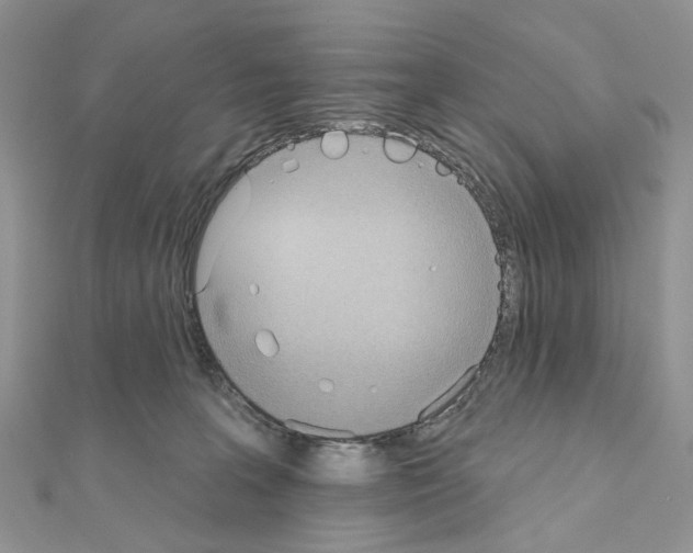 X0000111000227200907311037