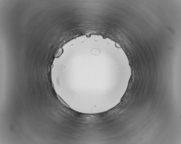 X0000111000229200907311037