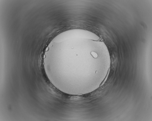 X0000111000231200907311037