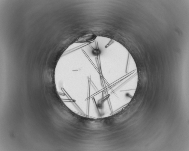 X0000111000232200907311037