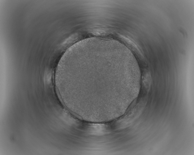 X0000111000233200907311037