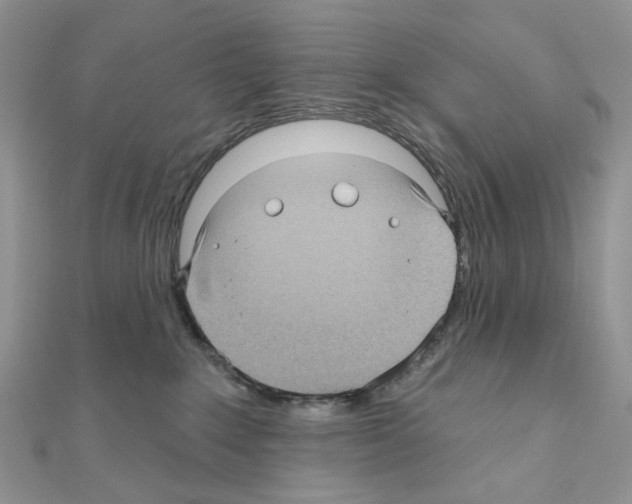 X0000111000235200907311037