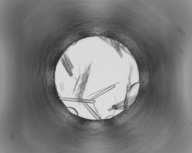 X0000111000236200907311037