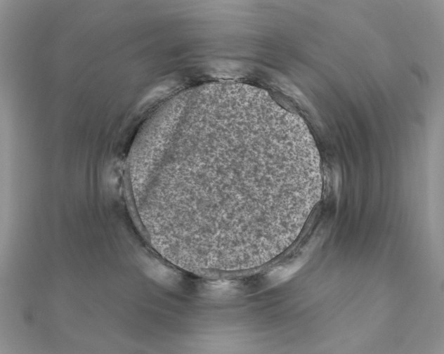 X0000111000237200907311037