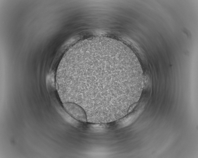 X0000111000238200907311037