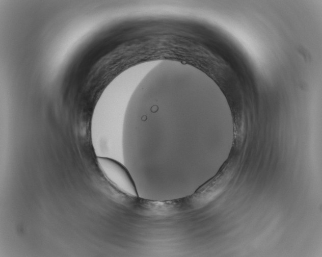 X0000111000239200907311037