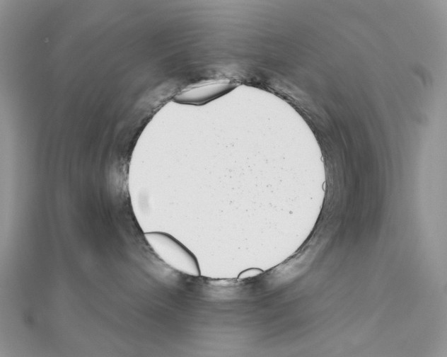 X0000111000240200907311037