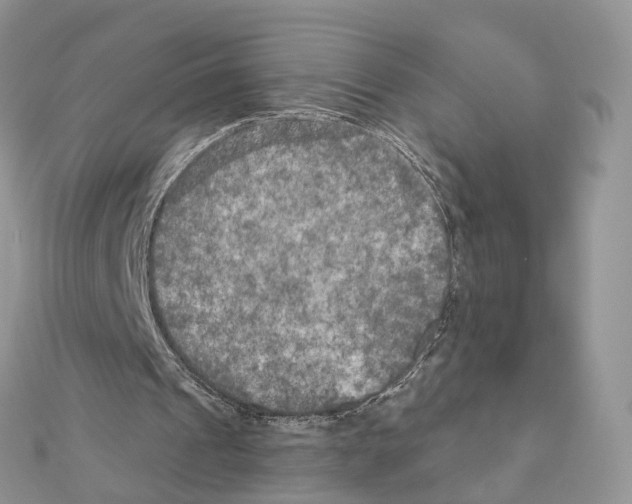 X0000111000241200907311037