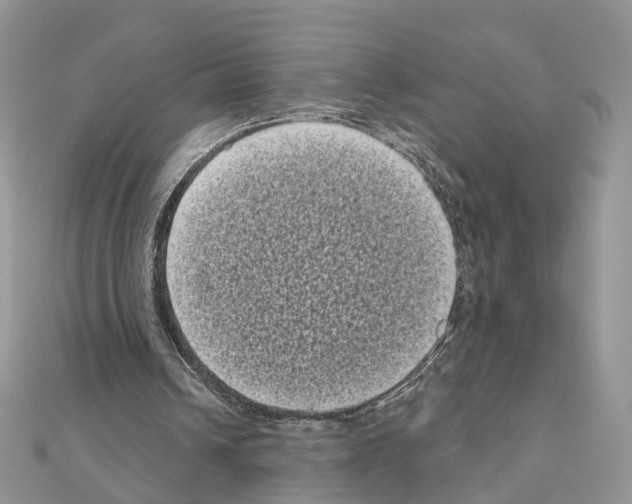 X0000111000242200907311037