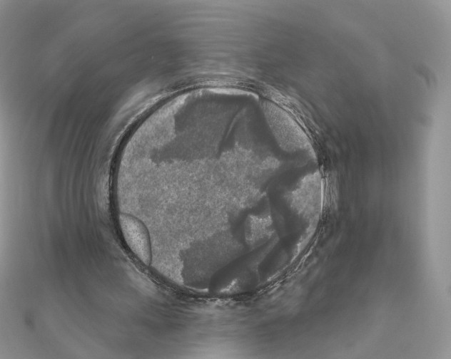 X0000111000243200907311037