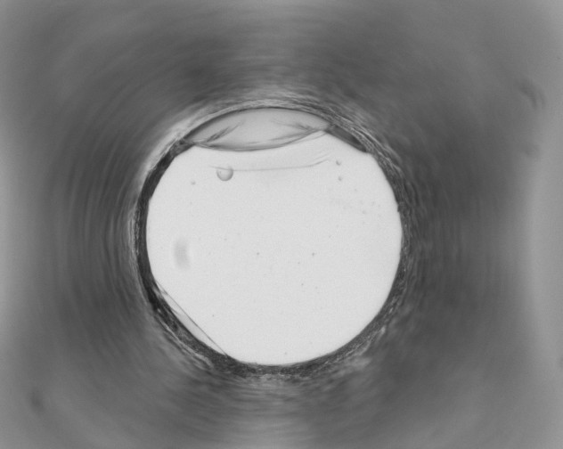 X0000111000244200907311037