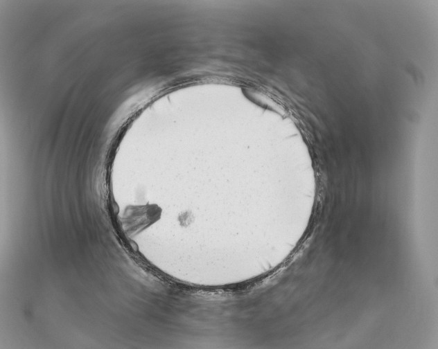 X0000111000245200907311037