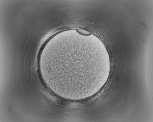 X0000111000246200907311037