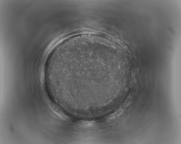 X0000111000247200907311037