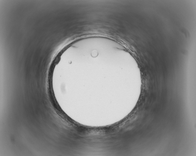 X0000111000248200907311037