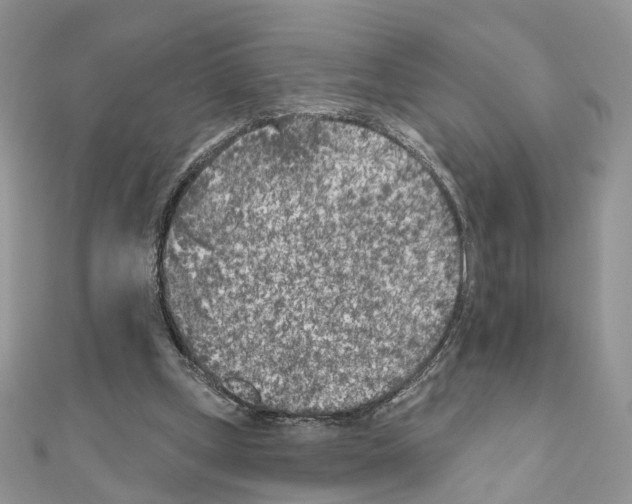 X0000111000249200907311037