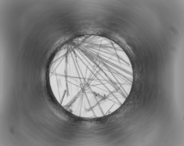 X0000111000250200907311037